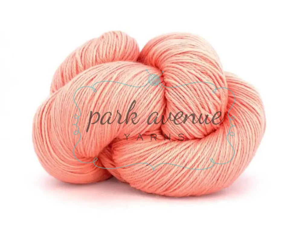 Perennial Cantaloupe Yarn: Fingering